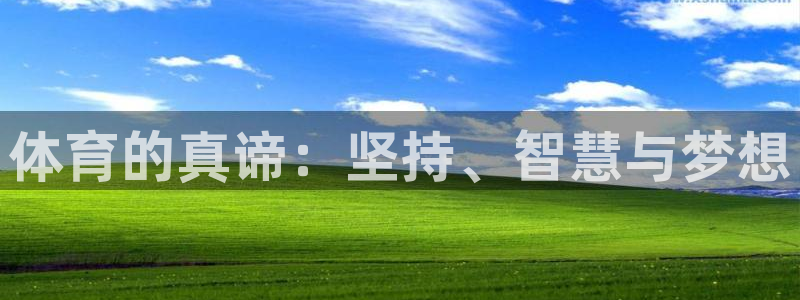 ug环球官网：体育的真谛：坚持、智慧与梦想