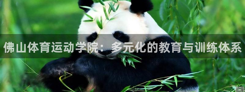 ug环球官网登录入口：佛山体育运动学院：多元化的教育与训练体系