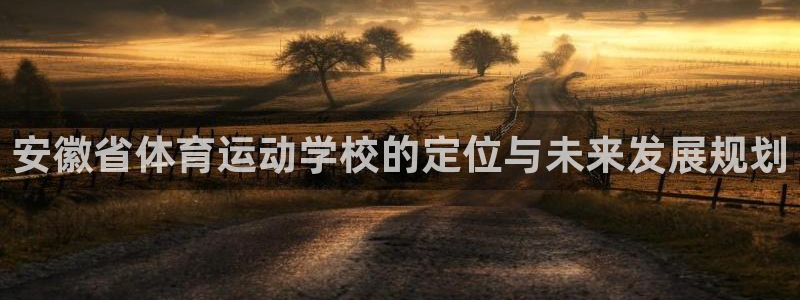 ug环球官网登录入口：安徽省体育运动学校的定位与未来发展规划