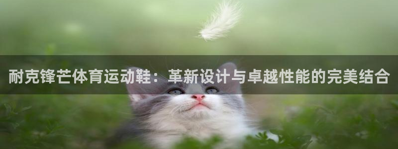 菲律宾ug环球官网