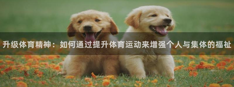 ug环球官网注册：升级体育精神：如何通过提升体育运动来增强个人与集体的福祉