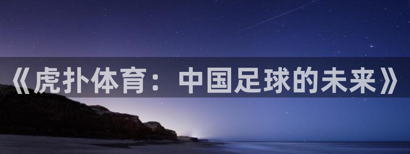 ug环球官网：《虎扑体育：中国足球的未来》