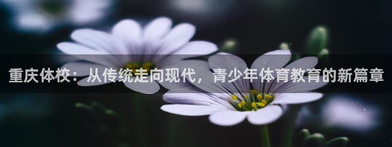 ug环球官网注册：重庆体校：从传统走向现代，青少年体育教育的新篇章