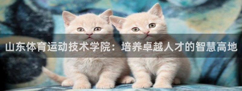 ug环球官网：山东体育运动技术学院：培养卓越人才的智慧高地