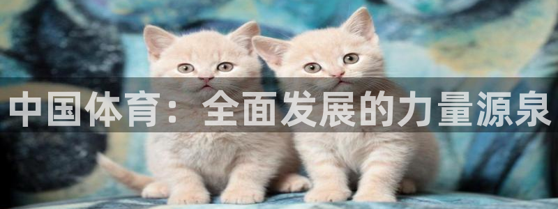 ug环球官网登录入口：中国体育：全面发展的力量源泉
