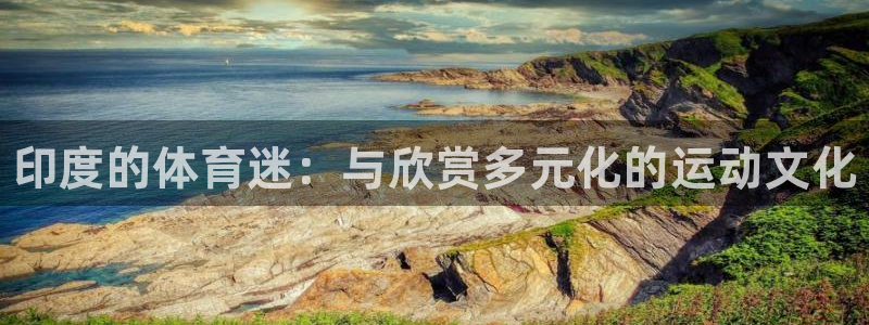 菲律宾ug环球官网：印度的体育迷：与欣赏多元化的运动文化