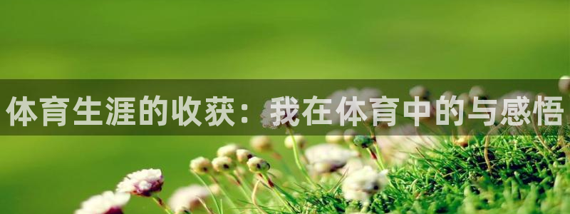 菲律宾ug环球官网：体育生涯的收获：我在体育中的与感悟