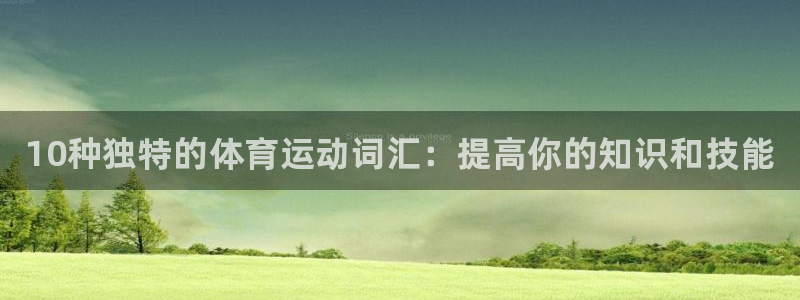 菲律宾ug环球官网：10种独特的体育运动词汇：提高你的知识和技能