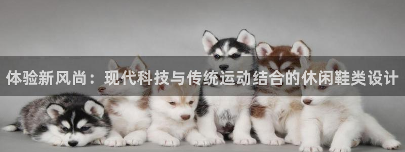 ug环球官网注册：体验新风尚：现代科技与传统运动结合的休闲鞋类设计