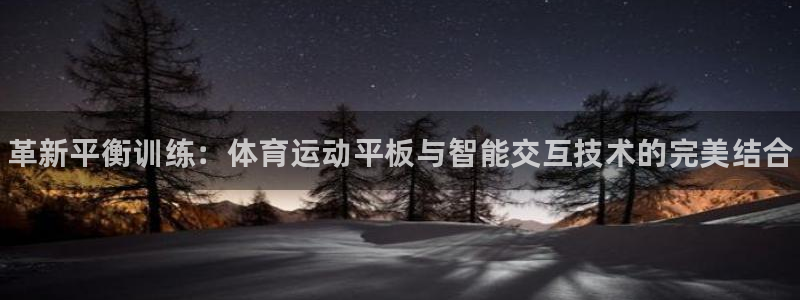 ug环球官网登录入口：革新平衡训练：体育运动平板与智能交互技术的完美结合