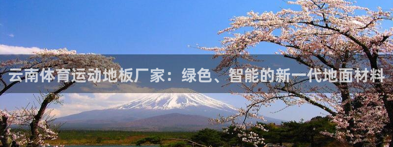ug环球官网注册：云南体育运动地板厂家：绿色、智能的新一代地面材料