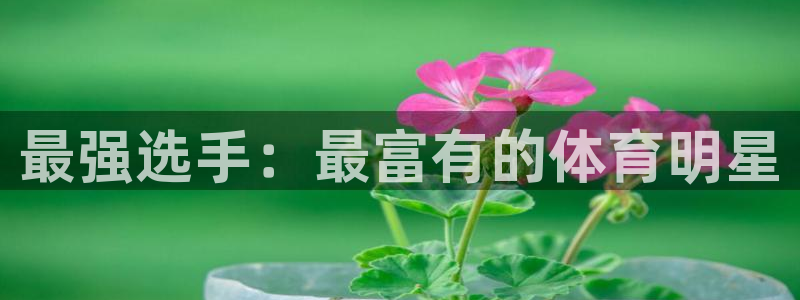 ug环球官网：最强选手：最富有的体育明星