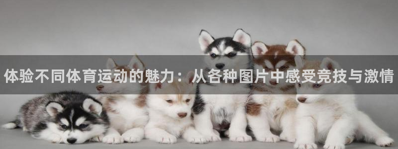ug环球官网注册：体验不同体育运动的魅力：从各种图片中感受竞技与激情