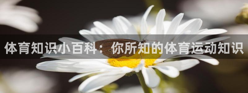 ug环球官网登录入口：体育知识小百科：你所知的体育运动知识