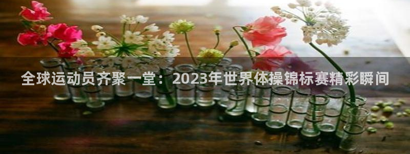 ug环球官网注册：全球运动员齐聚一堂：2023年世界体操锦标赛精彩瞬间