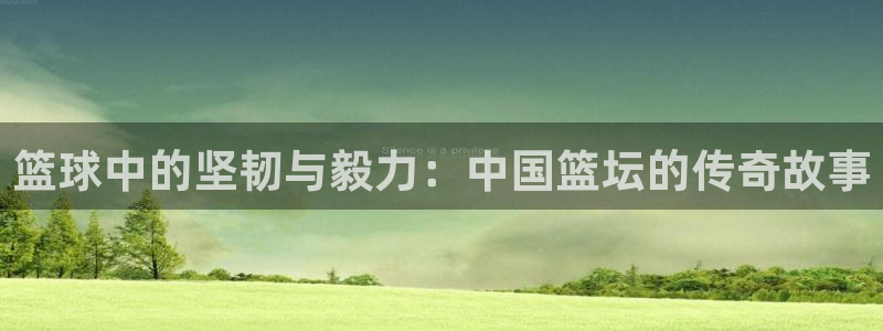 菲律宾ug环球官网：篮球中的坚韧与毅力：中国篮坛的传奇故事