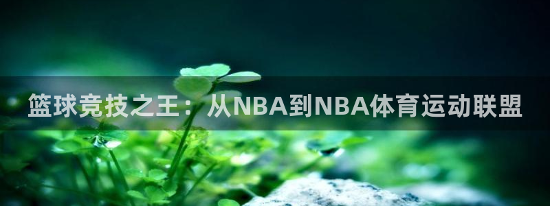 菲律宾ug环球官网：篮球竞技之王：从NBA到NBA体育运动联盟